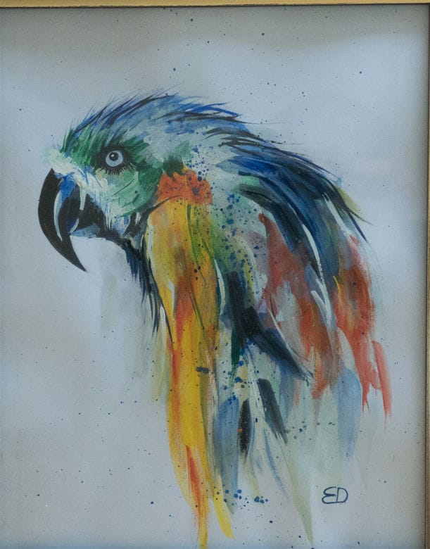 parrot painting for sale