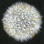 seedhead painting for sale