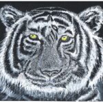white tiger painting for sale